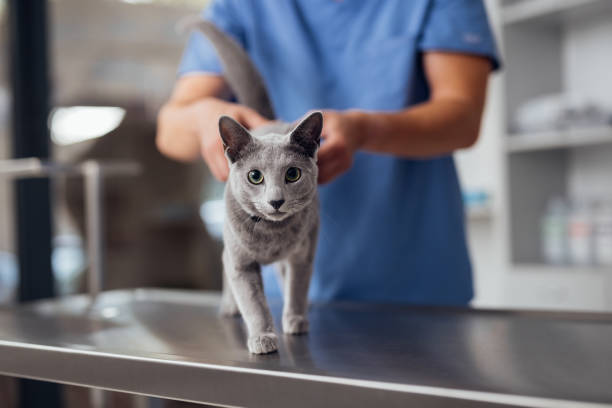 Royal Veterinary Centre team with pets